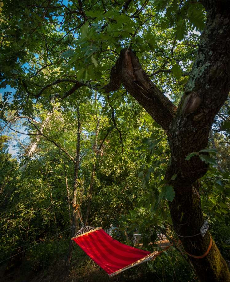 Emplacements de camping en Provence dans le Gard
